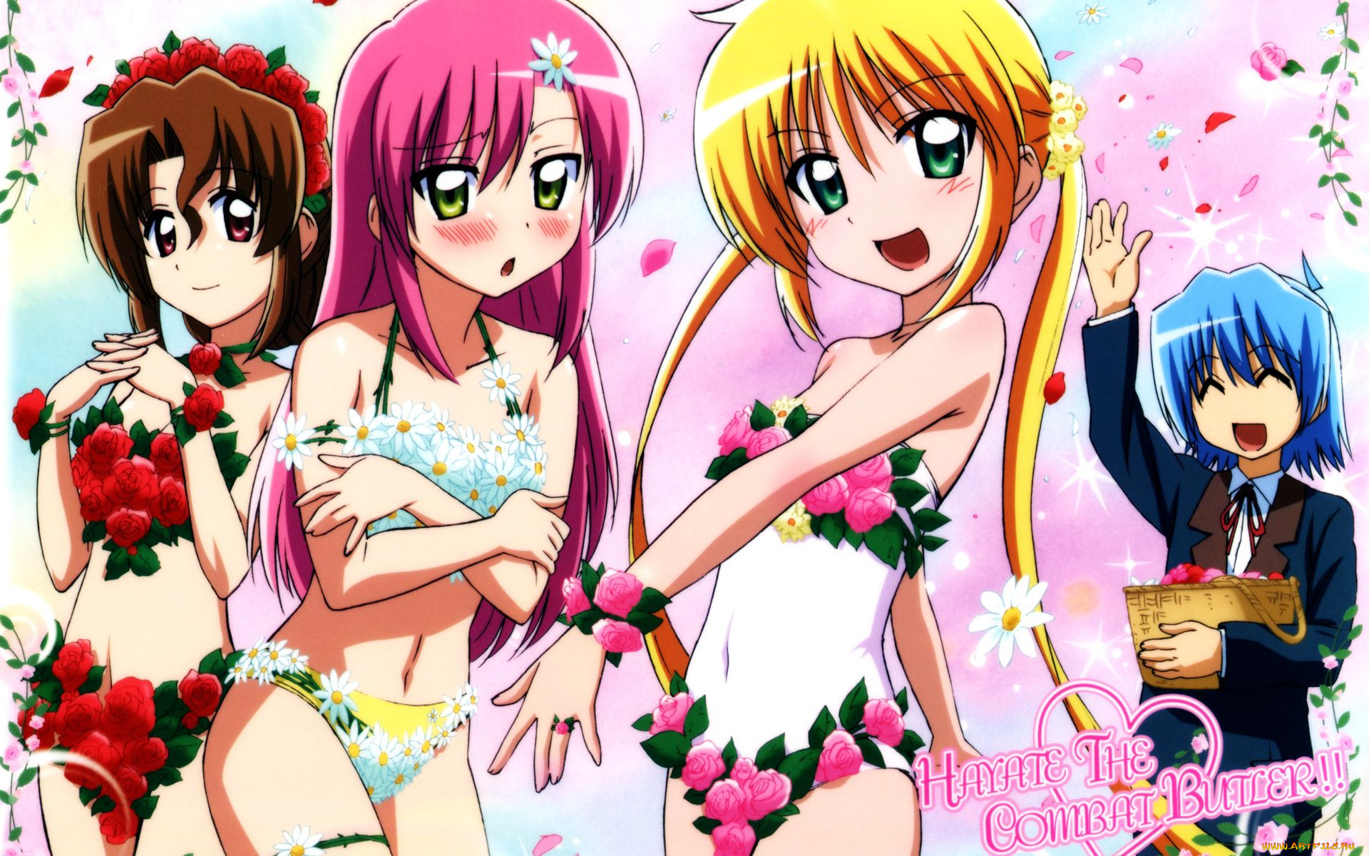 , hayate, no, gotoku